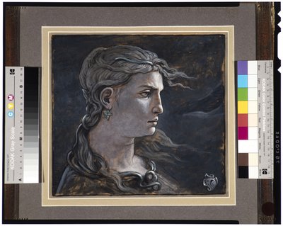 Cabeza de Medusa, 1878 de Elihu Vedder