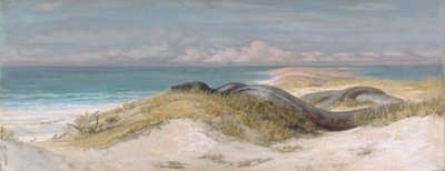  de Elihu Vedder