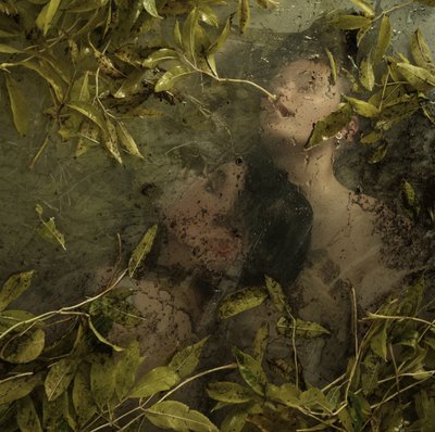 Oculto en el paraíso, 2015 (serigrafía) de Elinleticia Högabo