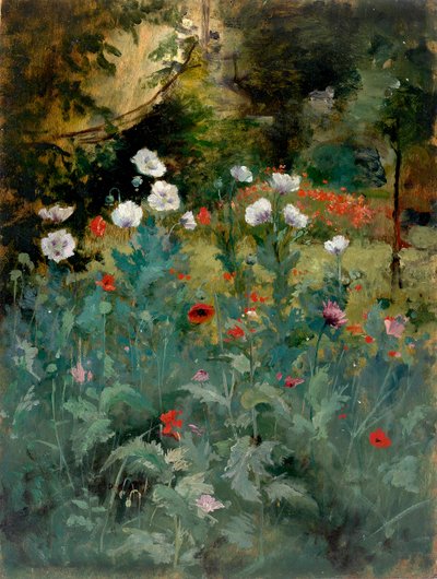 Amapolas de Eliphalet Fraser Andrews