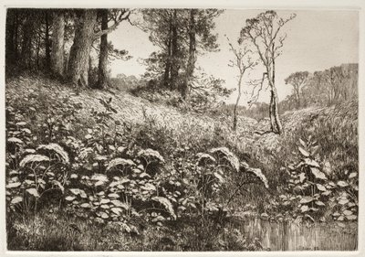 Una tarde de verano de Elis F. Miller