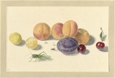 Melocotones, ciruelas, cerezas y dos insectos de Elisabeth Geertruida van de Kasteele