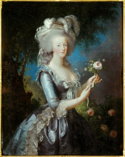 Rose retrato de María Antonieta de Lorena Habsburgo de Elisabeth Louise Vigee Lebrun
