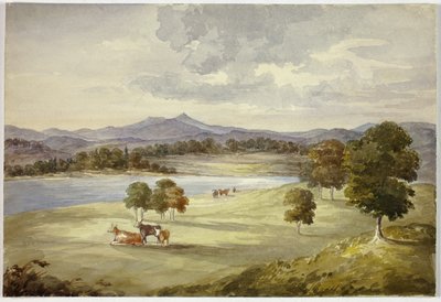 Vacas en el Paisaje de Elizabeth Murray