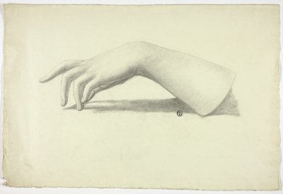 Antebrazo y mano izquierda de Elizabeth Murray
