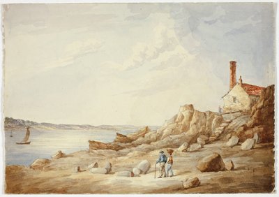 Costa Rocosa de Elizabeth Murray