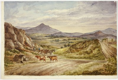Colinas de Wicklow de Elizabeth Murray