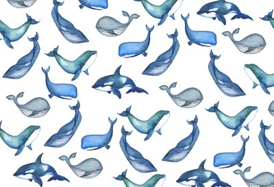 Ballenas, 2017 (acuarela) de Elizabeth Rider