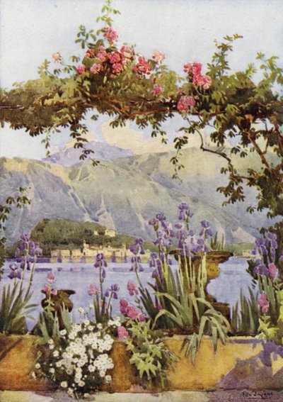 Un jardín en Cadenabbia, Lago de Como (litografía en color) de Ella Du Cane