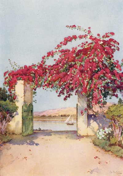 Un jardín en Luxor (litografía en color) de Ella Du Cane