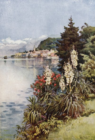 Grupo de yucas, Villa Melzi, Lago de Como (litografía en color) de Ella Du Cane