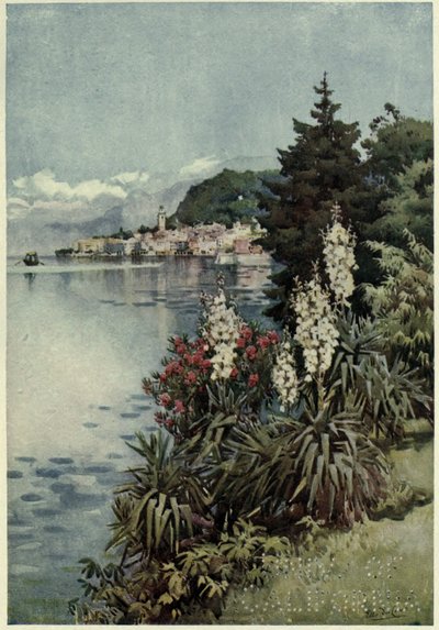 Un grupo de yucas, Villa Melzi, Lago di Como, Ilustración de 