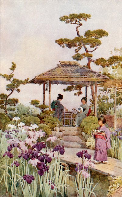 Un jardín de lirios (litografía en color) de Ella Du Cane
