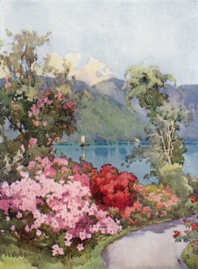 Azaleas, Lago de Como (litografía en color) de Ella Du Cane