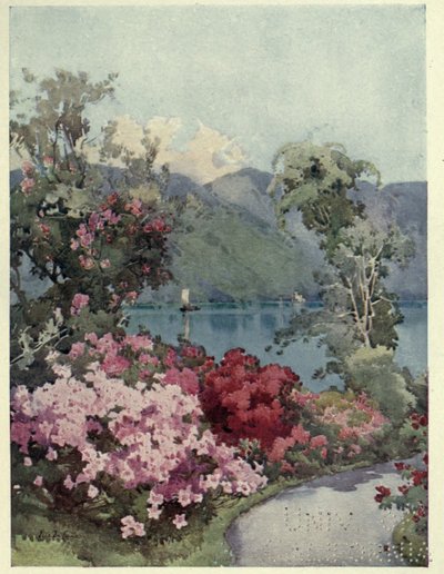 Azaleas, Lago di Como, Ilustración de 