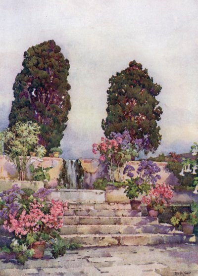 Jardín Botánico de la Orotava (litografía en color) de Ella Du Cane