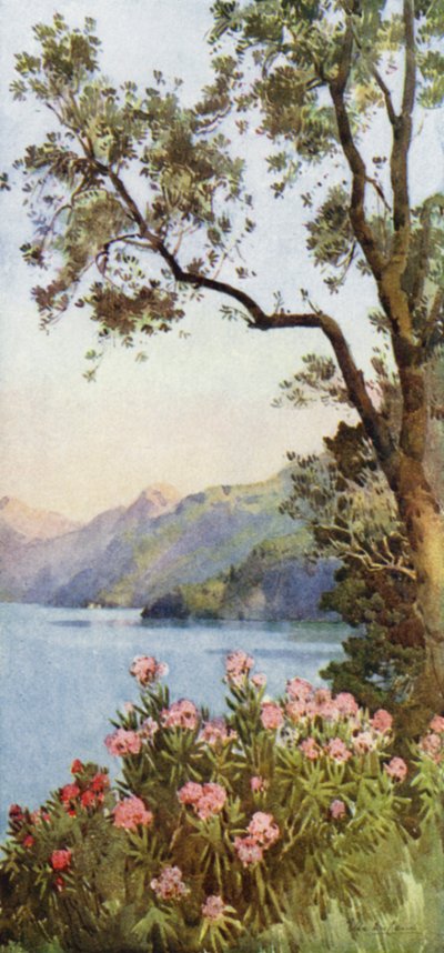 Lago de Lecco, Lago de Como (litografía en color) de Ella Du Cane