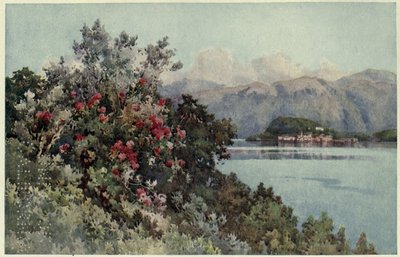 Rosas, Villa Carlotta, Lago di Como, Ilustración de 