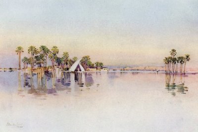 La Ciudadela desde el terreno inundado en la base de las Pirámides (litografía en color) de Ella Du Cane