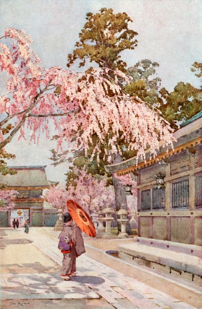 The Drooping Cherry (litografía en color) de Ella Du Cane