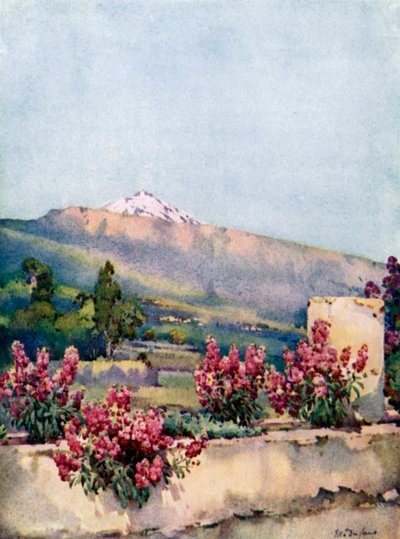 El Pico, desde la Villa Orotava (litografía en color) de Ella Du Cane