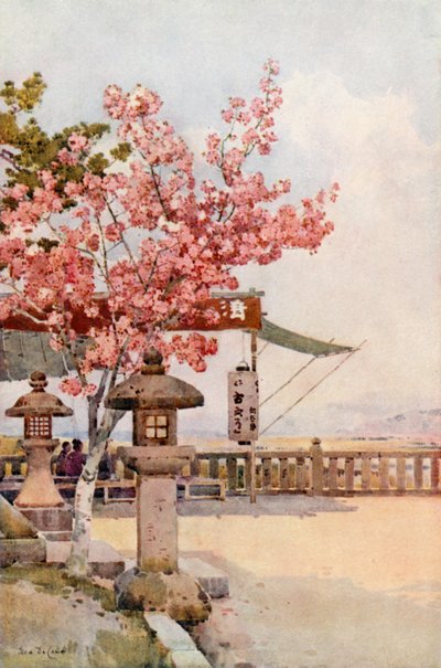 La cereza rosa (litografía en color) de Ella Du Cane