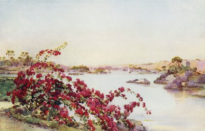 Vista desde la isla de Sirdar, Assuan (litografía en color) de Ella Du Cane