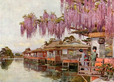 Wistaria, Nagaoka (litografía en color) de Ella Du Cane