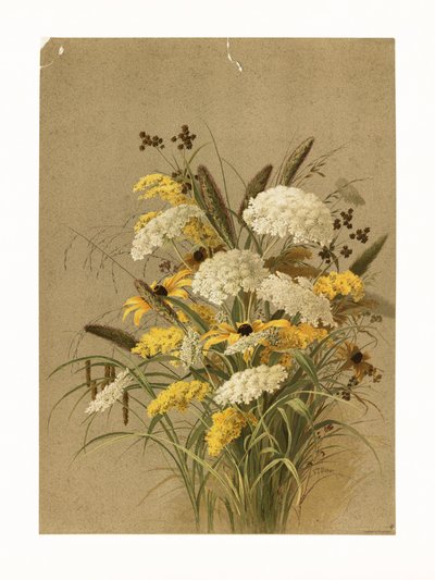 Cicuta, gramíneas de ojo de buey y vara de oro de Ellen Thayer Fisher