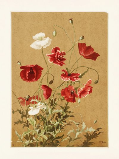 «Amapolas n.º 3», de Ellen Thayer Fisher de Ellen Thayer Fisher