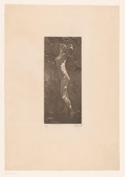 mujer desnuda a la luz del sol de Ellinnot (signed by artist)