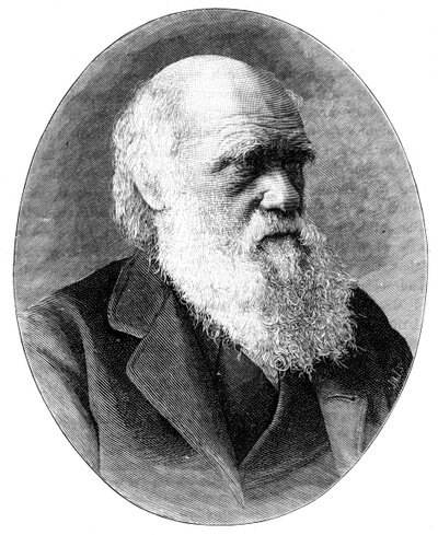 Charles Darwin, naturalista inglés del siglo XIX, 1900 de Elliott and Fry