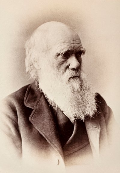 Charles Darwin: naturalista inglés de Elliott und Fry Studio