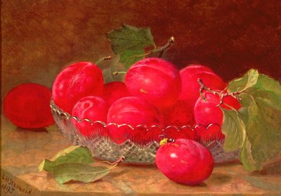 Naturaleza Muerta, 1895 de Eloise Harriet Stannard