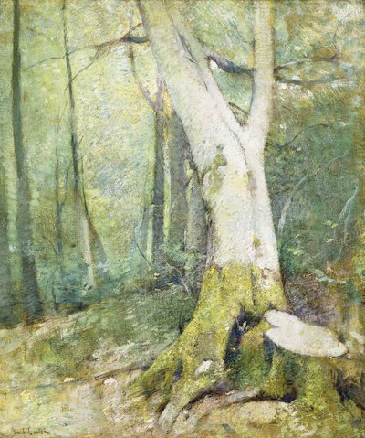 Bosque interior de Emil Carlsen