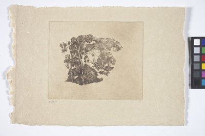 Estudio sobre los árboles (tinta) de Emil Carlsen