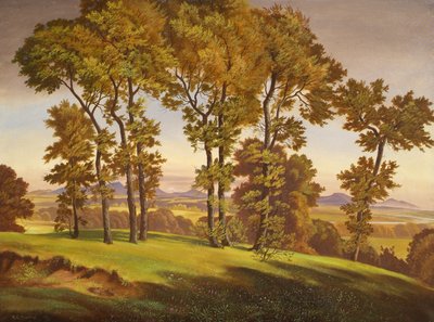 paisaje con arboles de Emil Ernst Heinsdorff