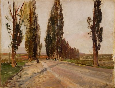 Bulevar de álamos cerca de Plankenberg, c. 1890 de Emil Jakob Schindler