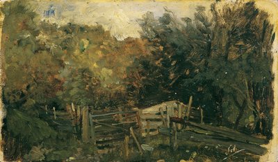 Estudio de la naturaleza de Goisern de Emil Jakob Schindler