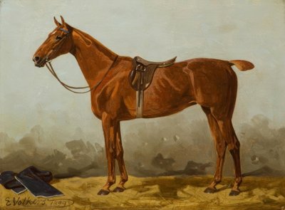 E.Volkers, Zorro ensillado de Emil Volkers