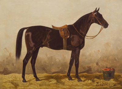 Caballo negro ensillado de Emil Volkers