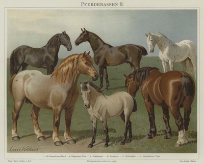 Razas de caballos de Emil Volkers