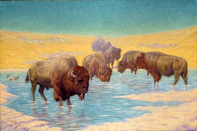 Escena de Búfalo de Emil W. Lenders
