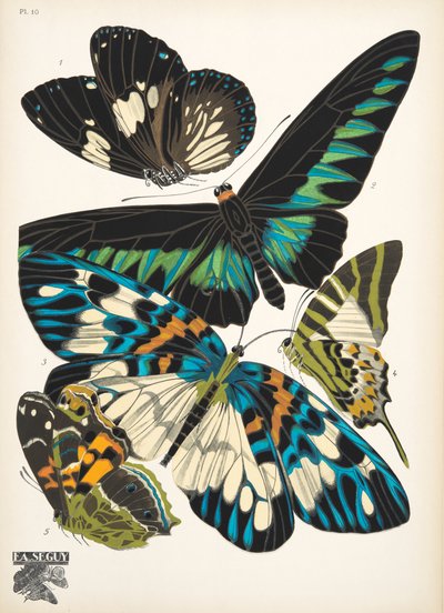 Lámina 10, de Papillons, pub. 1925 (impresión de pochoir) de Émile Allain Séguy