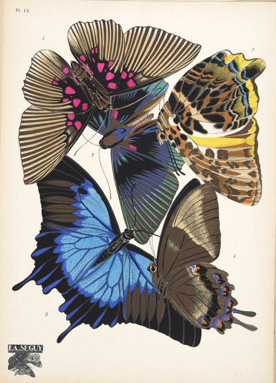 Lámina 16, de Papillons, pub. 1925 (impresión de pochoir) de Émile Allain Séguy