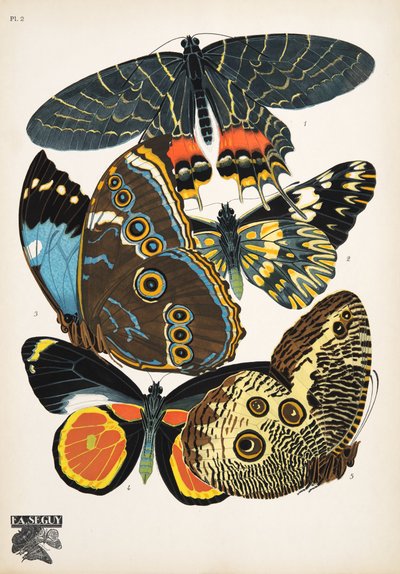Lámina 2, de Papillons, pub. 1925 (impresión de pochoir) de Émile Allain Séguy