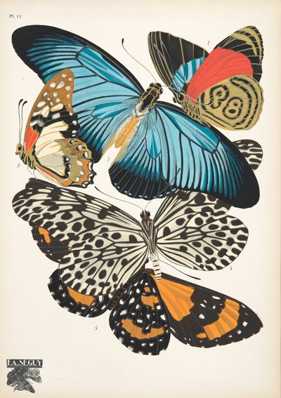 Lámina 11, de Papillons, pub. 1925 (impresión de pochoir) de Émile Allain Séguy