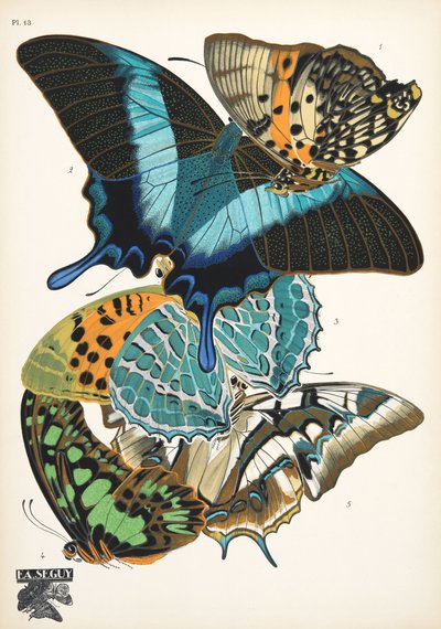 Lámina 13, de Papillons, pub. 1925 (impresión de pochoir) de Émile Allain Séguy