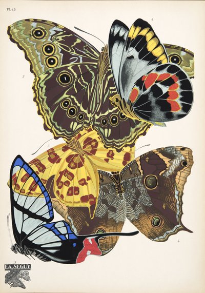 Lámina 15, de Papillons, pub. 1925 (impresión de pochoir) de Émile Allain Séguy