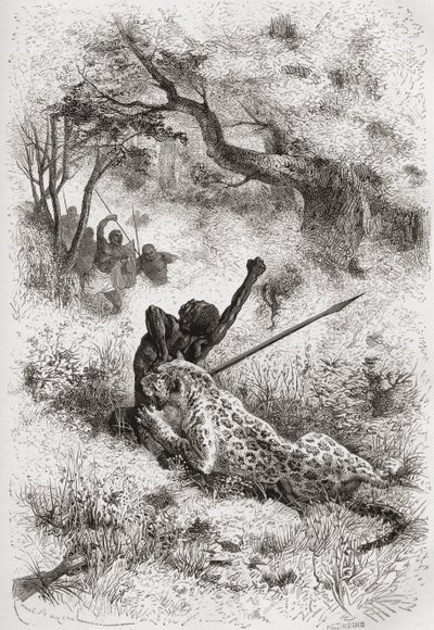 Un leopardo atacando a un africano, ilustración de 